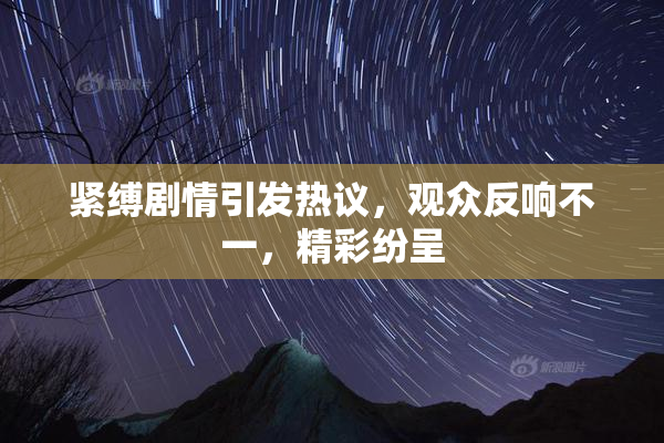 紧缚剧情引发热议，观众反响不一，精彩纷呈