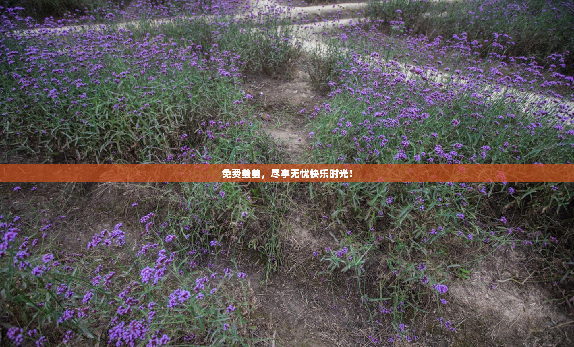 免费羞羞，尽享无忧快乐时光！