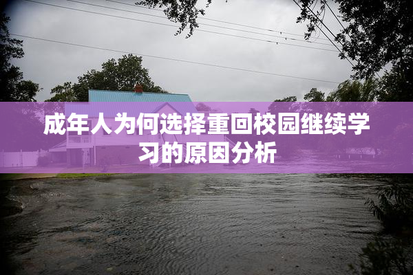 成年人为何选择重回校园继续学习的原因分析