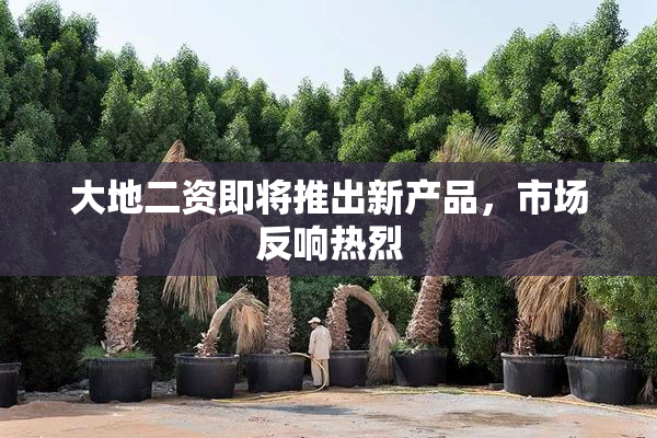 大地二资即将推出新产品，市场反响热烈