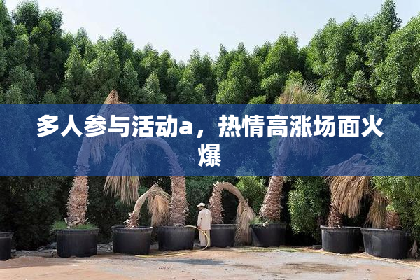 多人参与活动a，热情高涨场面火爆