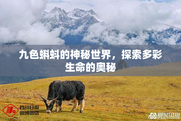 九色蝌蚪的神秘世界，探索多彩生命的奥秘
