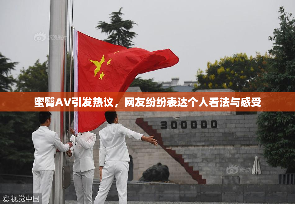 蜜臀AV引发热议，网友纷纷表达个人看法与感受