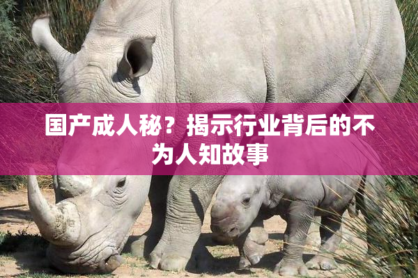 国产成人秘？揭示行业背后的不为人知故事