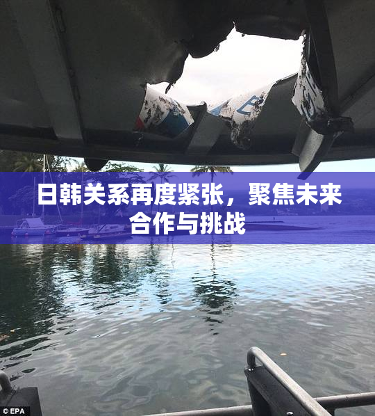 日韩关系再度紧张，聚焦未来合作与挑战