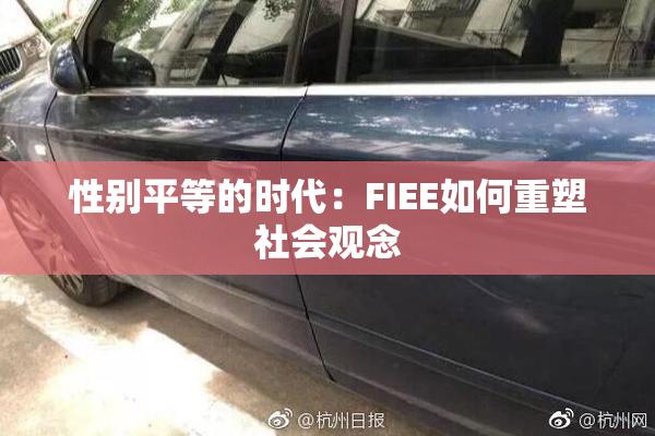 性别平等的时代：FIEE如何重塑社会观念