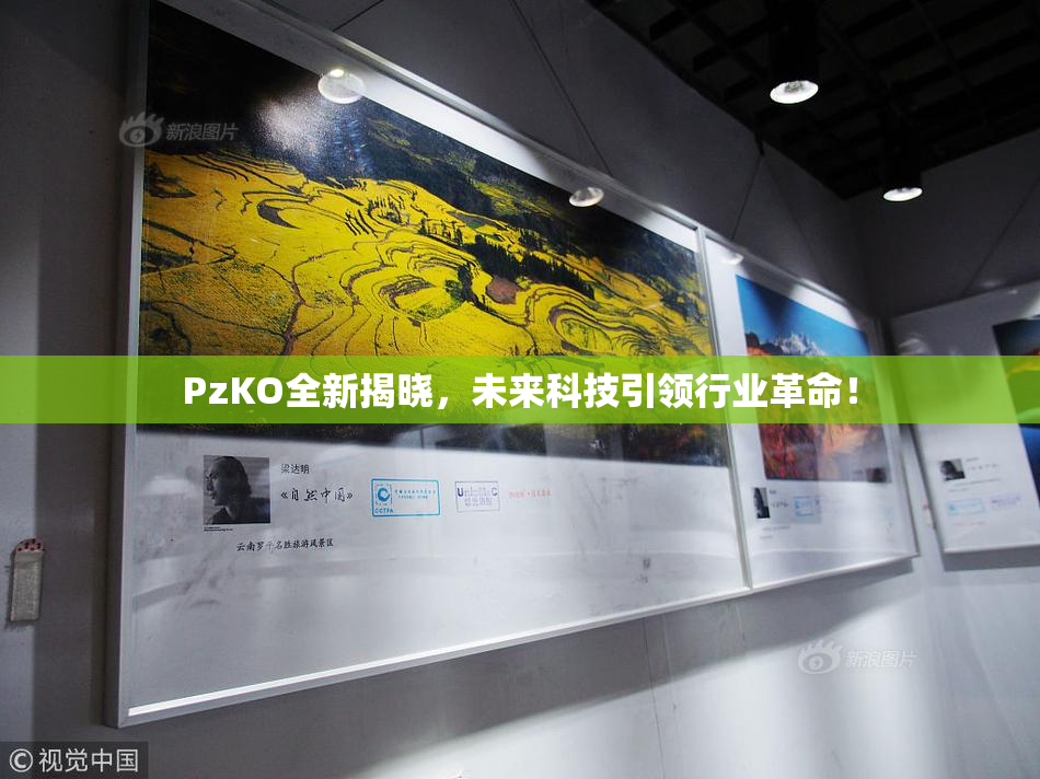 PzKO全新揭晓，未来科技引领行业革命！
