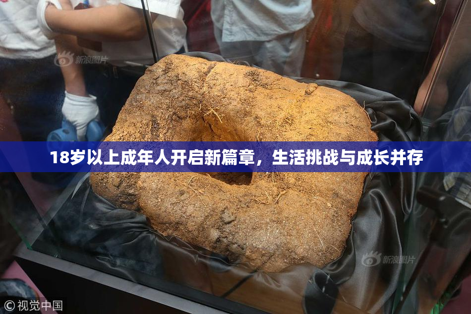 18岁以上成年人开启新篇章，生活挑战与成长并存
