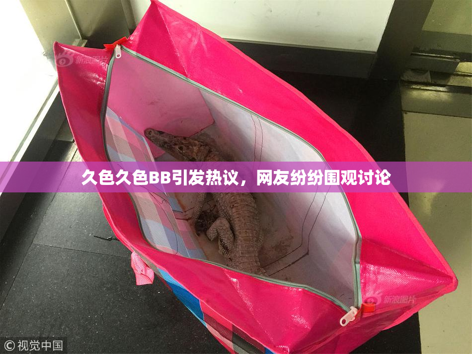 久色久色BB引发热议，网友纷纷围观讨论