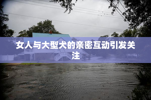 女人与大型犬的亲密互动引发关注