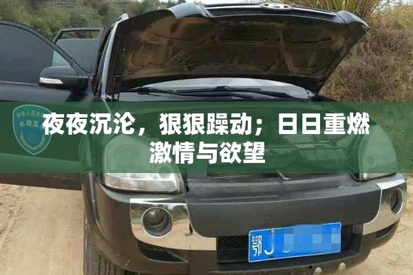 夜夜沉沦，狠狠躁动；日日重燃激情与欲望