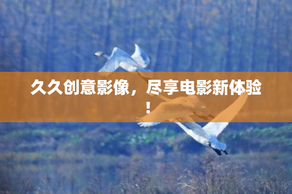久久创意影像，尽享电影新体验！