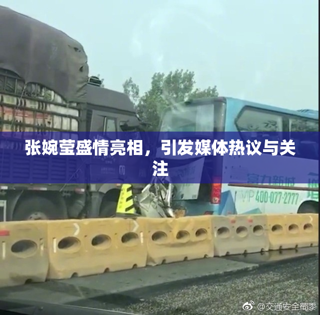 张婉莹盛情亮相，引发媒体热议与关注