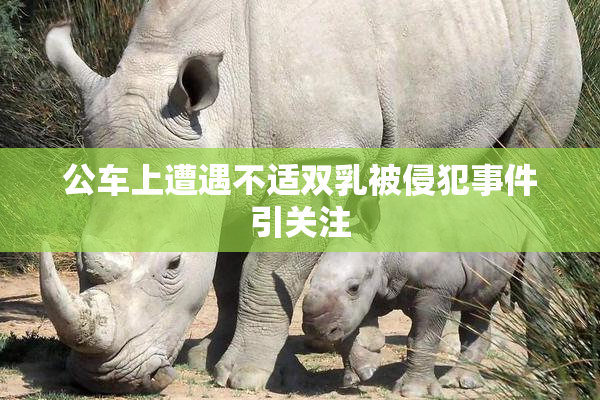 公车上遭遇不适双乳被侵犯事件引关注