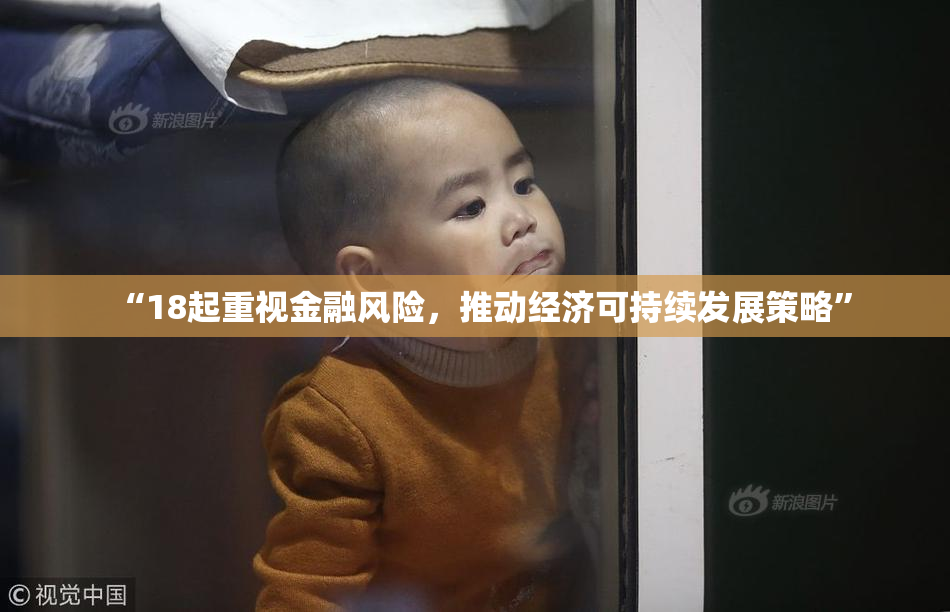 “18起重视金融风险，推动经济可持续发展策略”
