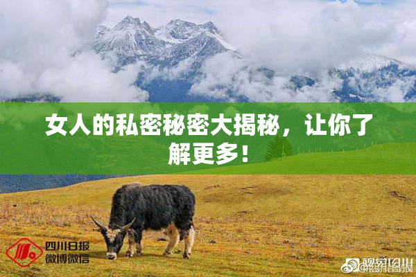 女人的私密秘密大揭秘，让你了解更多！