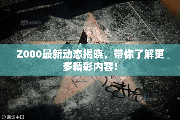 Z000最新动态揭晓，带你了解更多精彩内容！