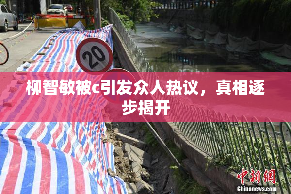柳智敏被c引发众人热议，真相逐步揭开