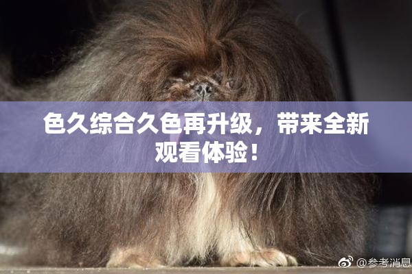 色久综合久色再升级，带来全新观看体验！