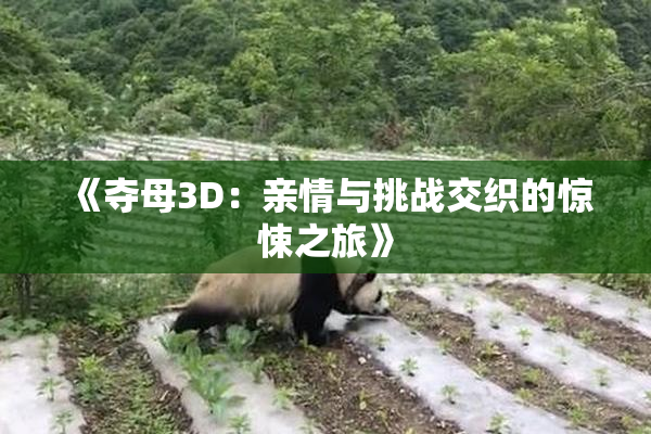 《夺母3D：亲情与挑战交织的惊悚之旅》