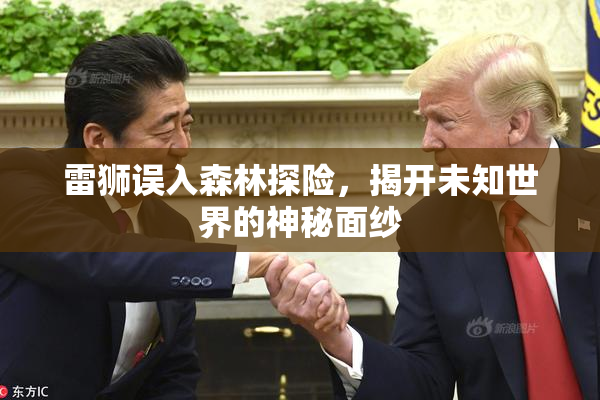 雷狮误入森林探险，揭开未知世界的神秘面纱