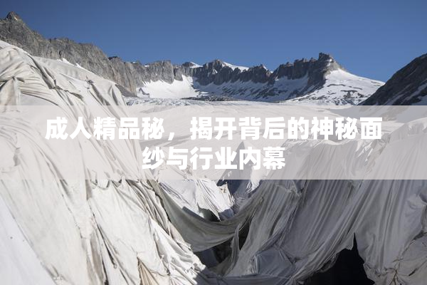 成人精品秘，揭开背后的神秘面纱与行业内幕