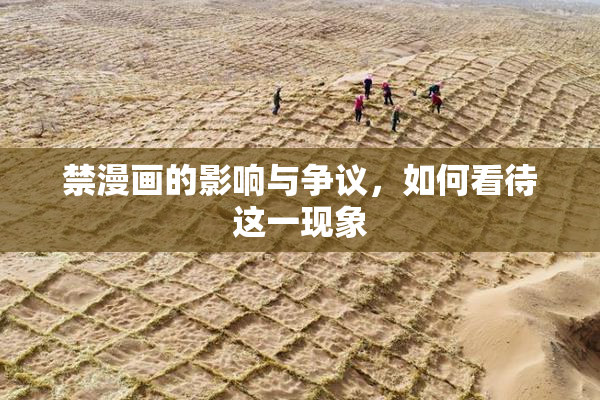 禁漫画的影响与争议，如何看待这一现象