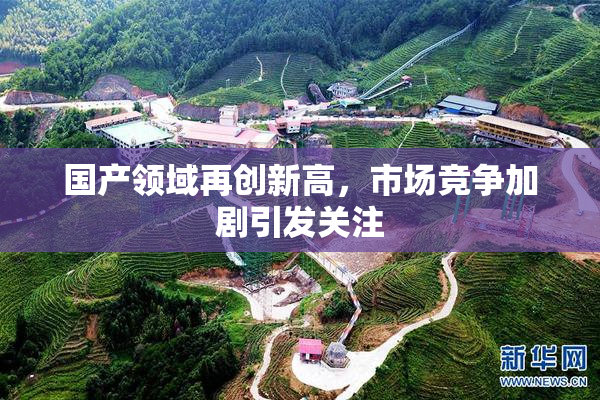 国产领域再创新高，市场竞争加剧引发关注