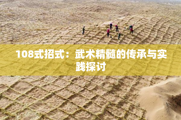 108式招式：武术精髓的传承与实践探讨