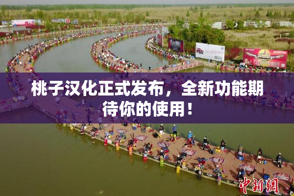 桃子汉化正式发布，全新功能期待你的使用！