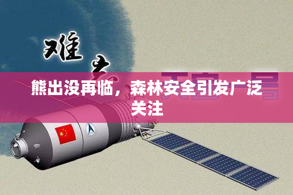 熊出没再临，森林安全引发广泛关注