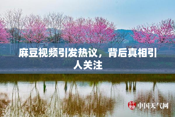 麻豆视频引发热议，背后真相引人关注