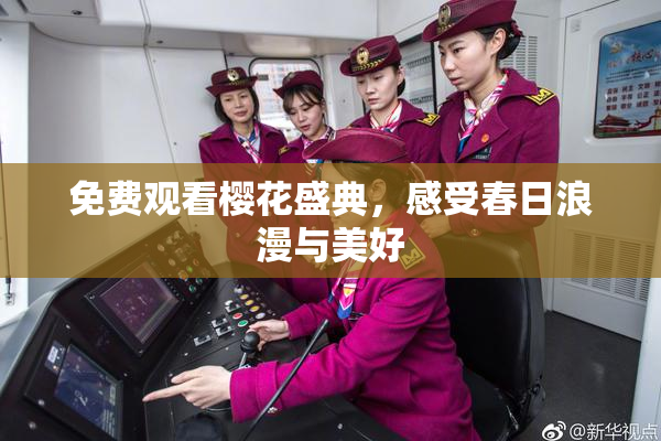 免费观看樱花盛典，感受春日浪漫与美好