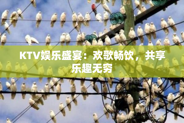 KTV娱乐盛宴：欢歌畅饮，共享乐趣无穷
