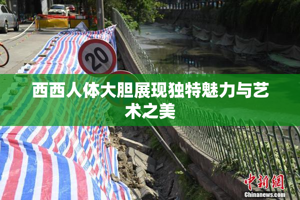 西西人体大胆展现独特魅力与艺术之美