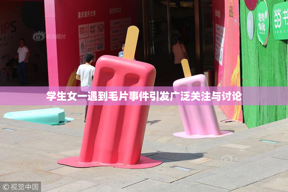 学生女一遇到毛片事件引发广泛关注与讨论