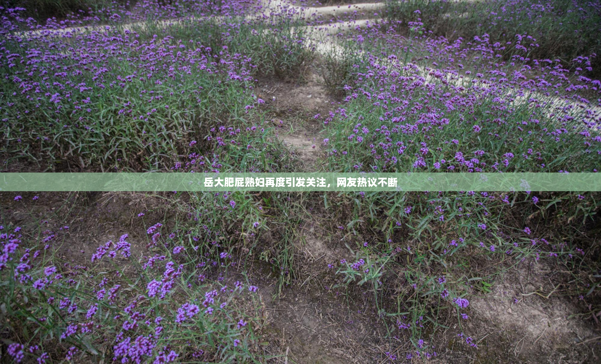 岳大肥屁熟妇再度引发关注，网友热议不断