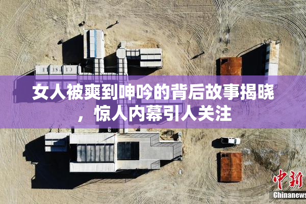 女人被爽到呻吟的背后故事揭晓，惊人内幕引人关注