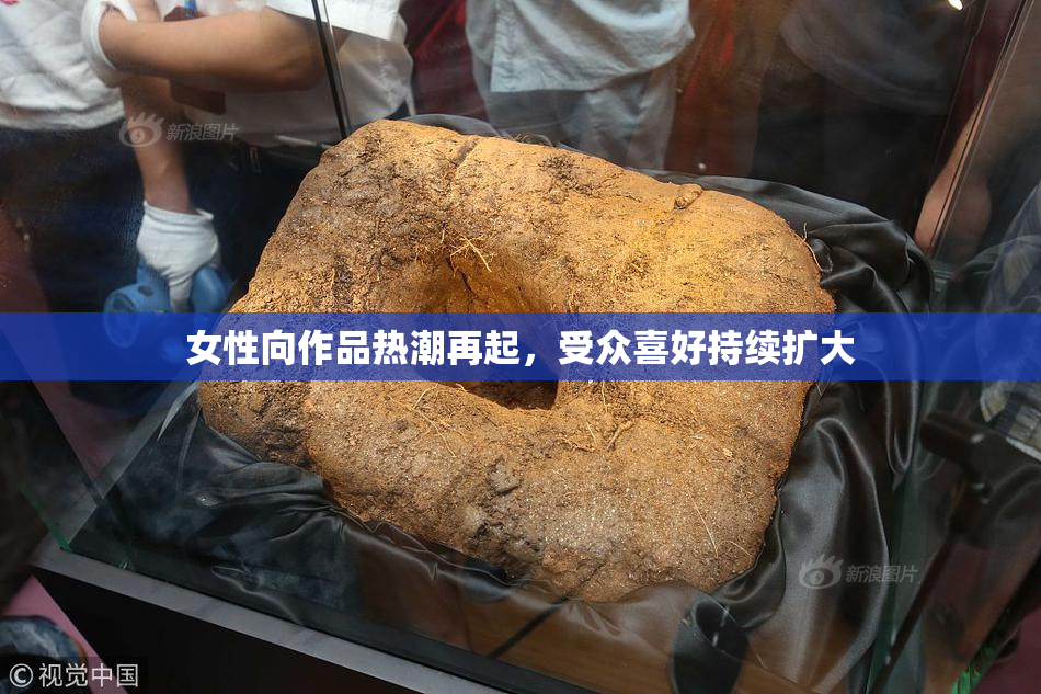 女性向作品热潮再起，受众喜好持续扩大