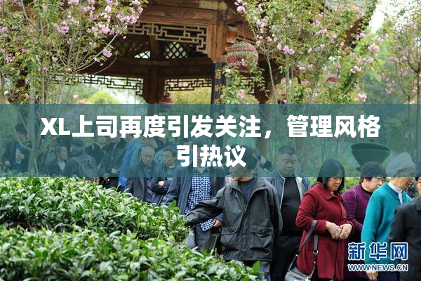 XL上司再度引发关注，管理风格引热议