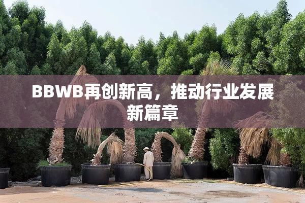 BBWB再创新高，推动行业发展新篇章