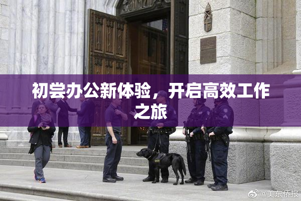 初尝办公新体验，开启高效工作之旅