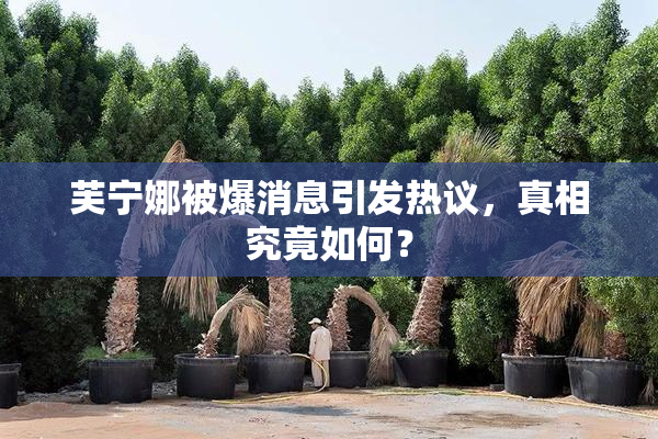 芙宁娜被爆消息引发热议，真相究竟如何？