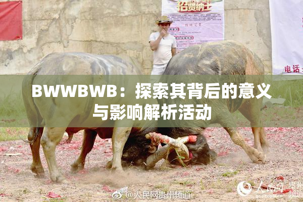 BWWBWB：探索其背后的意义与影响解析活动