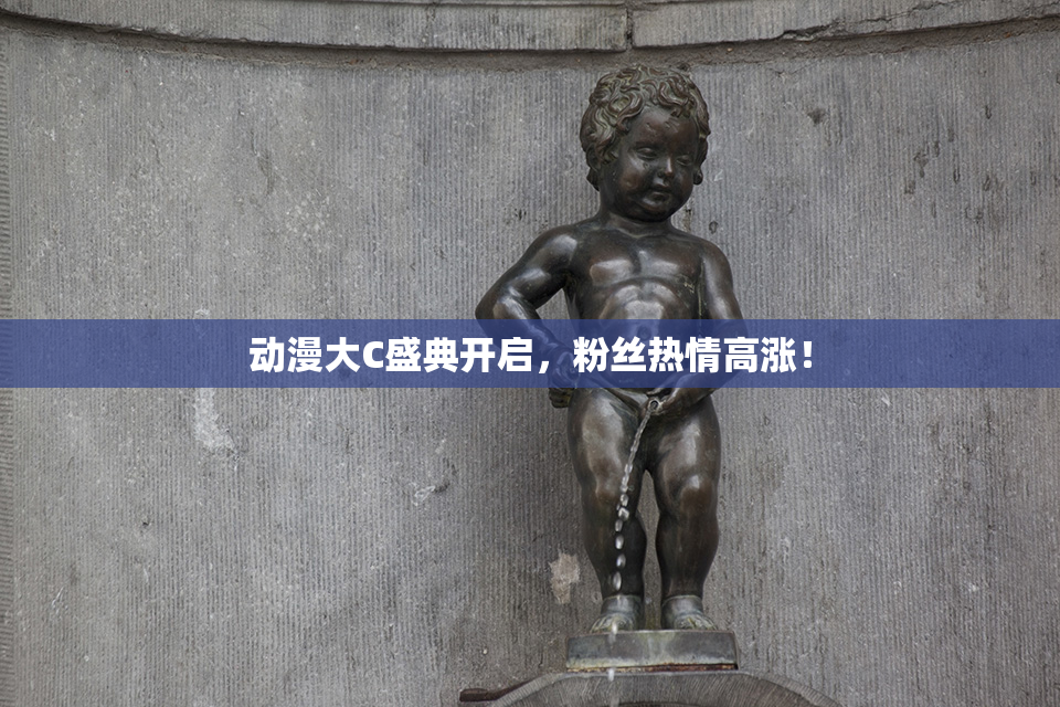 动漫大C盛典开启，粉丝热情高涨！