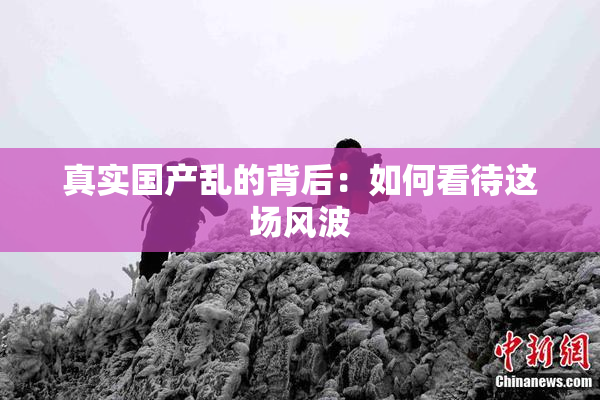 真实国产乱的背后：如何看待这场风波