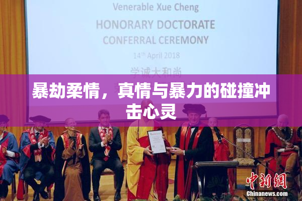 暴劫柔情，真情与暴力的碰撞冲击心灵