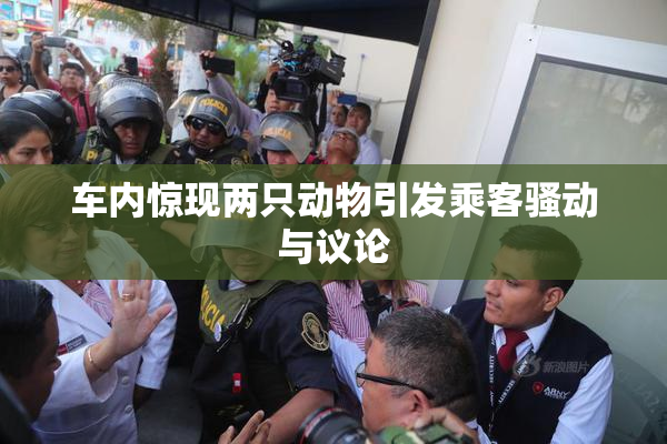 车内惊现两只动物引发乘客骚动与议论