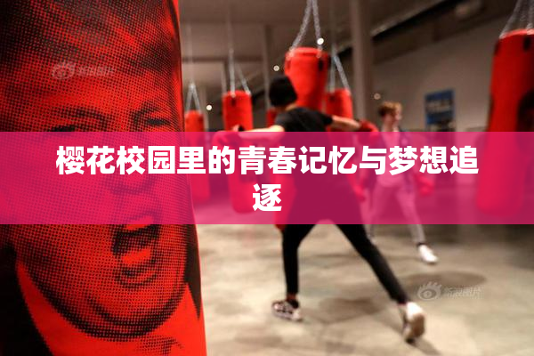 樱花校园里的青春记忆与梦想追逐