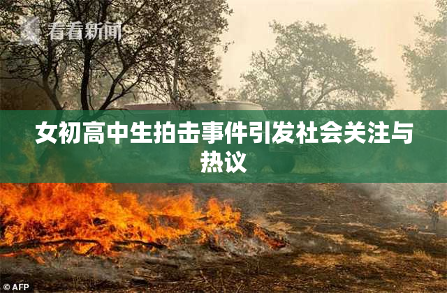 女初高中生拍击事件引发社会关注与热议